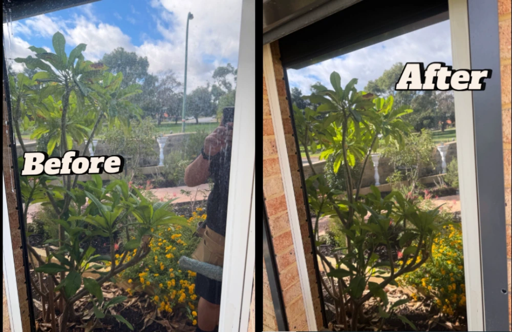 Before and after window cleaning showing a hazy garden view restored to clear visibility
