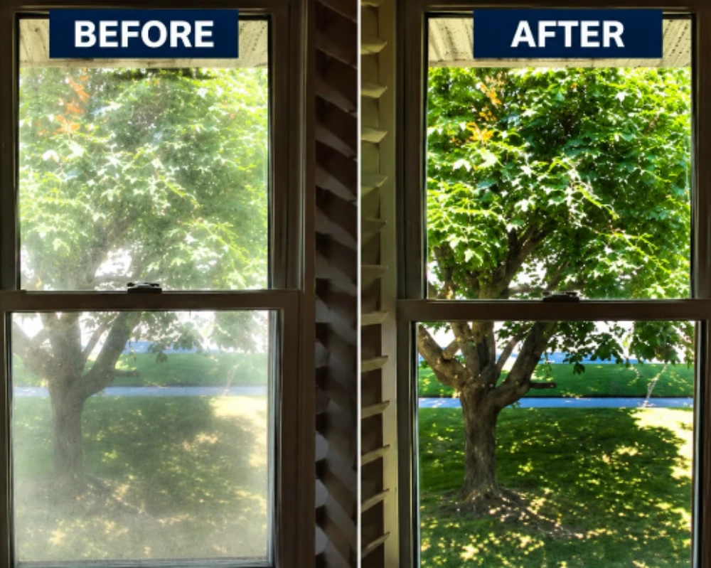 Before and after window cleaning showing a hazy tree view restored to sharp clarity